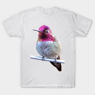 Anna's Hummingbird Photo T-Shirt